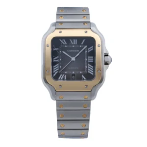 Cartier - W2SA0030 - Black Dial